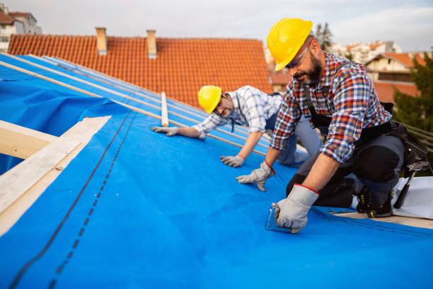 Best Emergency Roof Repair  in North Shore, CA